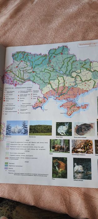 Атлас географія 11 клас "Географічний простір Землі"