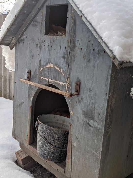 Буда собача велика