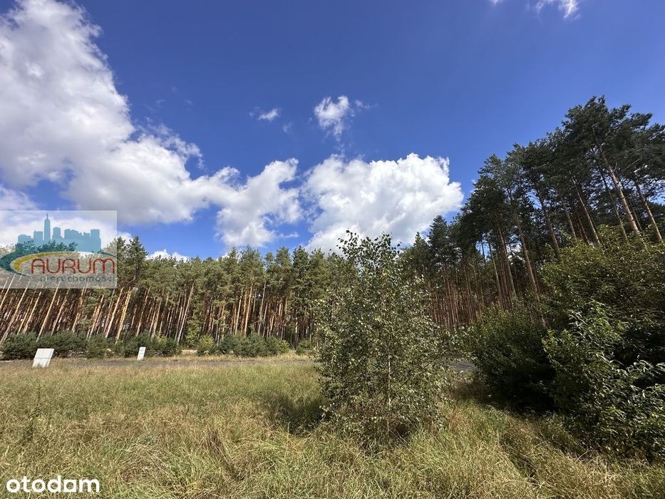 Działka 968 m² | 10 min od Zielonej Góry - More