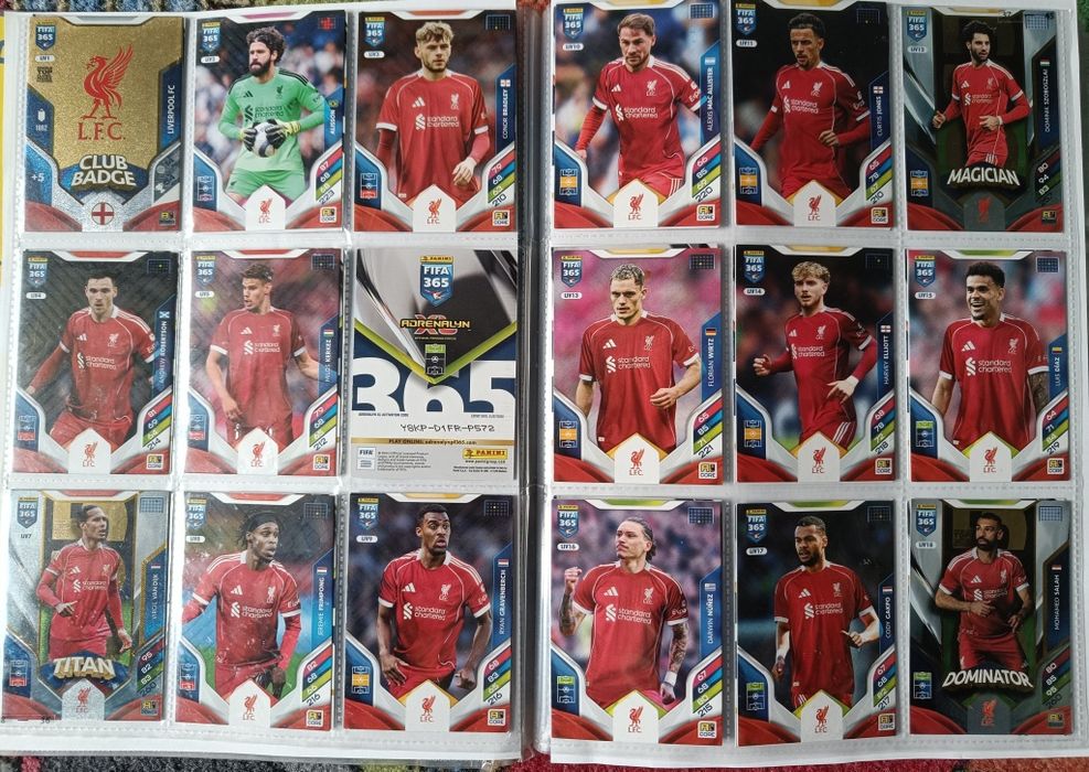 Karty piłkarskie Liverpool FC