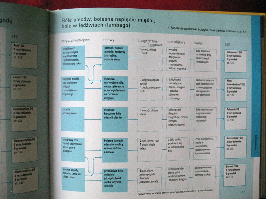 Homeopatia _ Markus Wiesenauer - książka polska