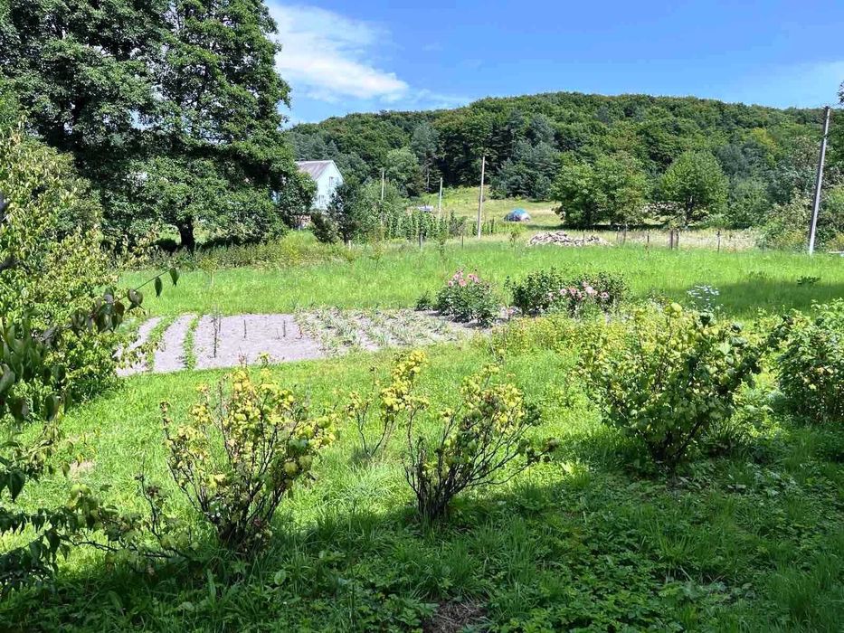 Продаж будинку + 1 гектар землі в с.Тростянець