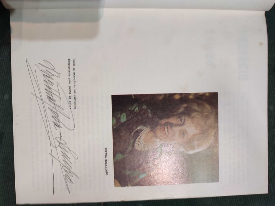 O Livro do Pantagruel - Bertha Rosa-Limpo