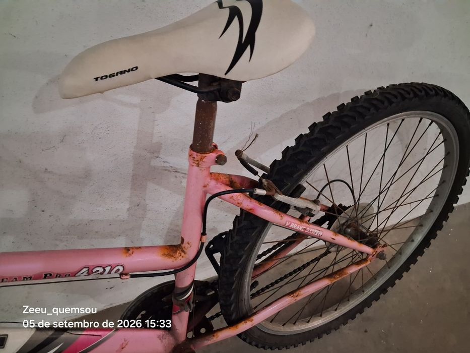 Bicicleta de senhora, roda 26