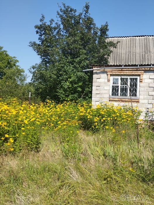 Продам дом - дачу в Новоселовке Самарский район