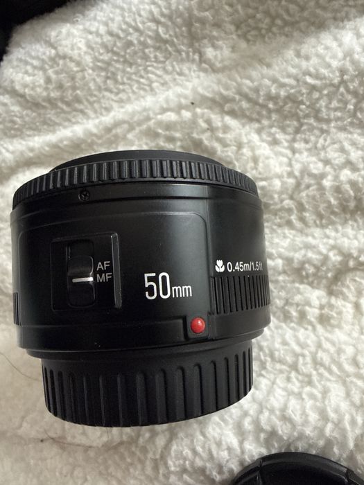 Canon rebel t5 com lente 50mm