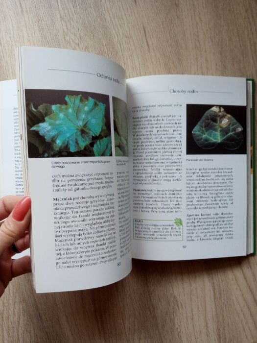 książka uprawa kwiatów w domu