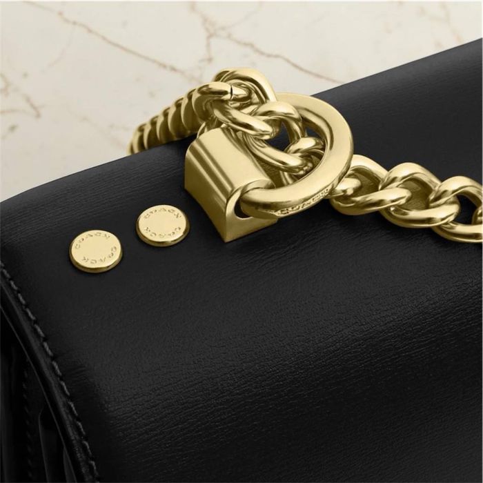 Сумка Coach klare envelope