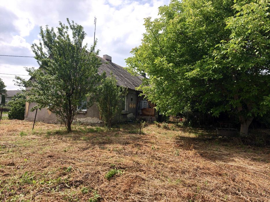 Dom – Osiek, powiat sierpecki - Widok 2