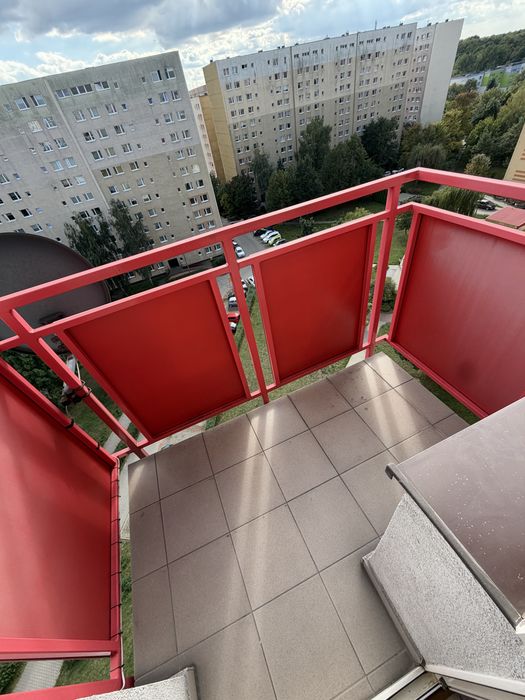 Zdjęcie 8