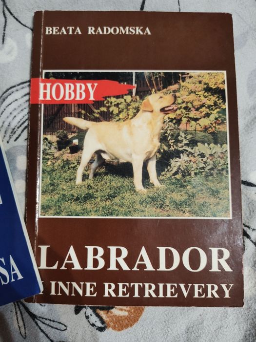 Labrador i inne retrievery