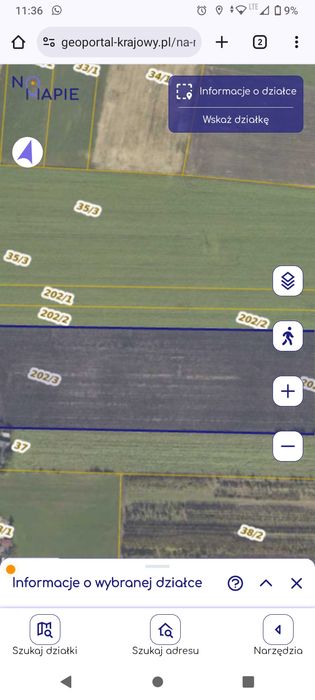 Oddam grunty rolne w dzierżawę