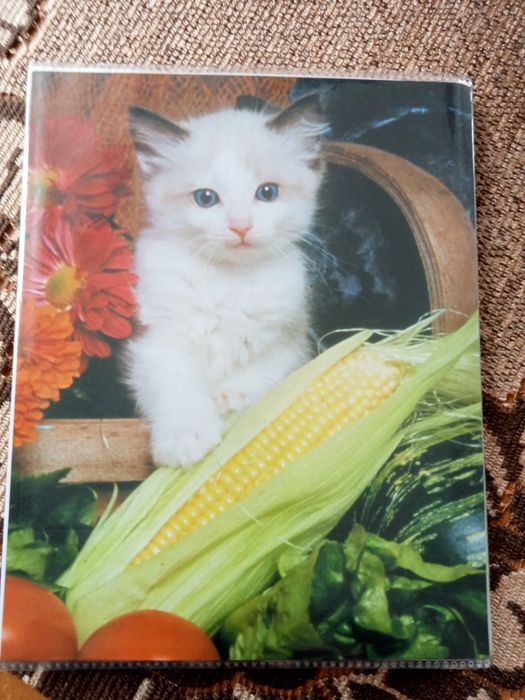 Album na zdjęcia