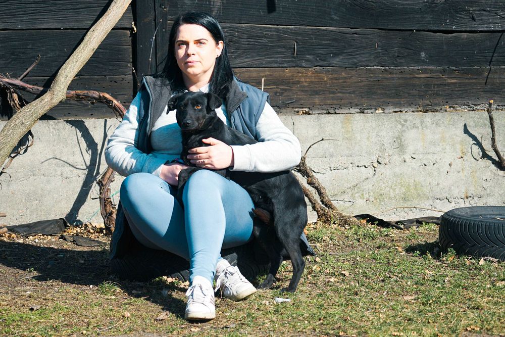Luiza - niewielka sunia szuka domu