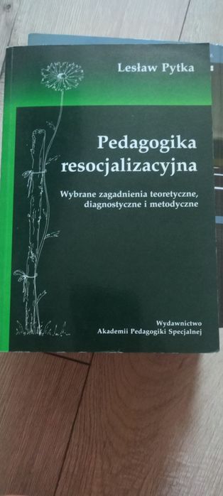 Pedagogika resocjalizacyjna