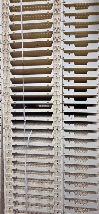 Donice multiplaty doniczkopalety wielodoniczka do wysiewu nasion