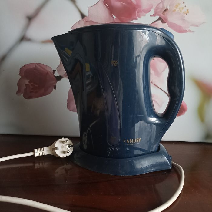 Чайник електричний SANUSY