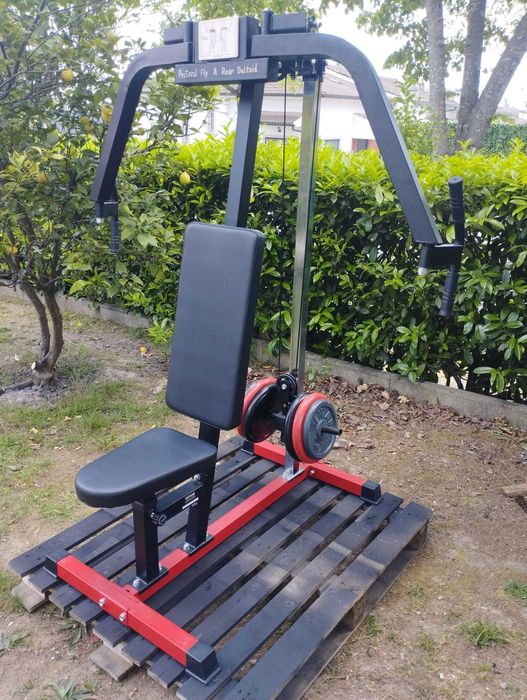 máquina pec fly e rear deltoid