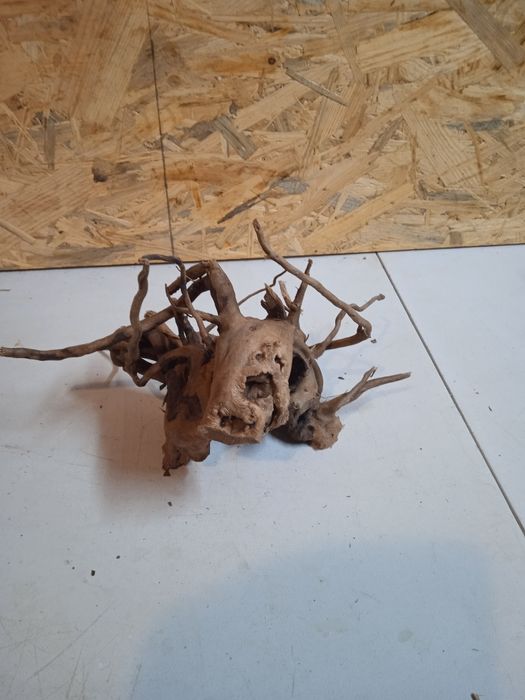 Korzeń do akwarium Red Moore Wood nr 69 o wymiarach 25/20/15