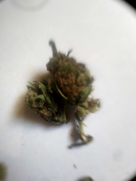 Susz AK 48 Cbd / Thceee 19%