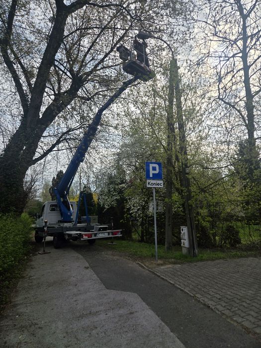 Wynajem podnośnika koszowego zwyżka