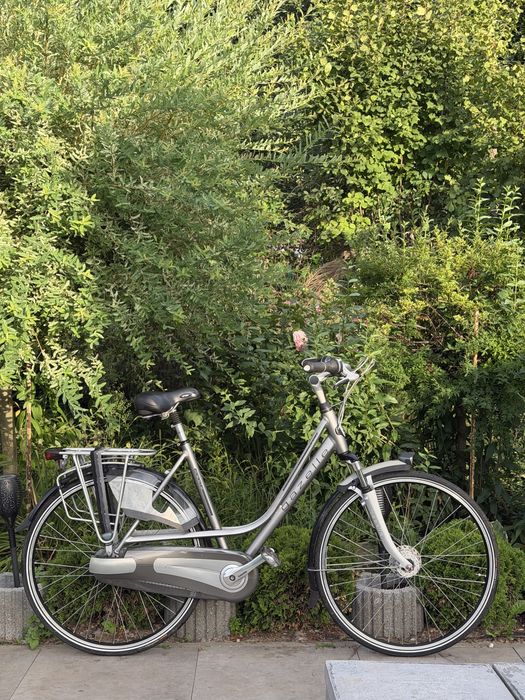 Damka Gazelle Paris Plus H57 Holenderski