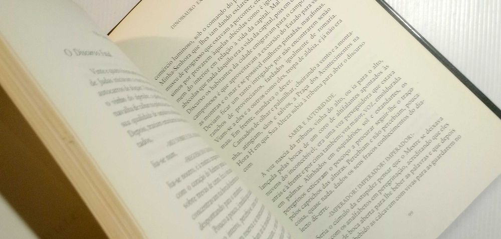 Livro O burro em pé * José Cardoso Pires