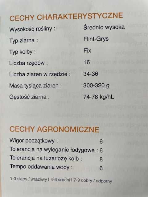 Nasiona kukurydza MAS Gritz dla ptaków