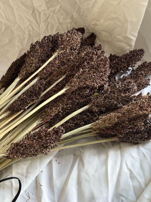 Сухоцвіти льон пшениця