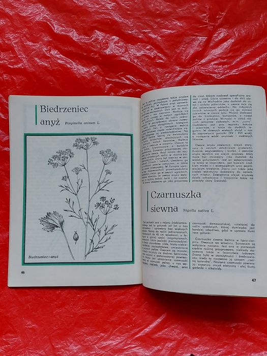 Książka ZIOŁA w DOMU