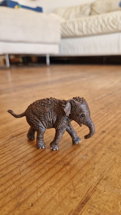Elefante asiático bebé da Schleich