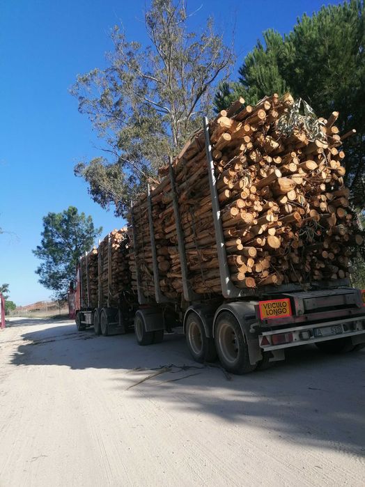 Limpezas de Terrenos e Serviços Florestais