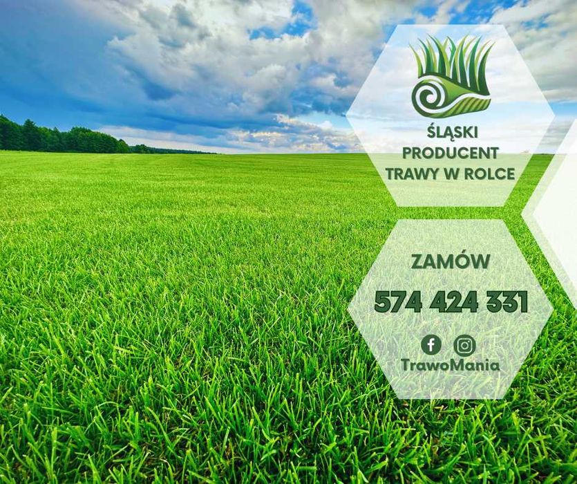 *** Najlepsza trawa w rolce na Śląsku!!! Prosto od producenta ***