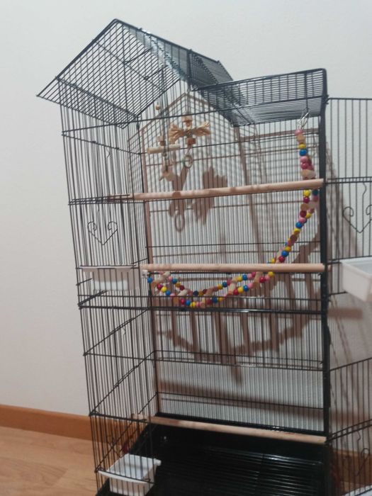 Gaiola grande para passaros