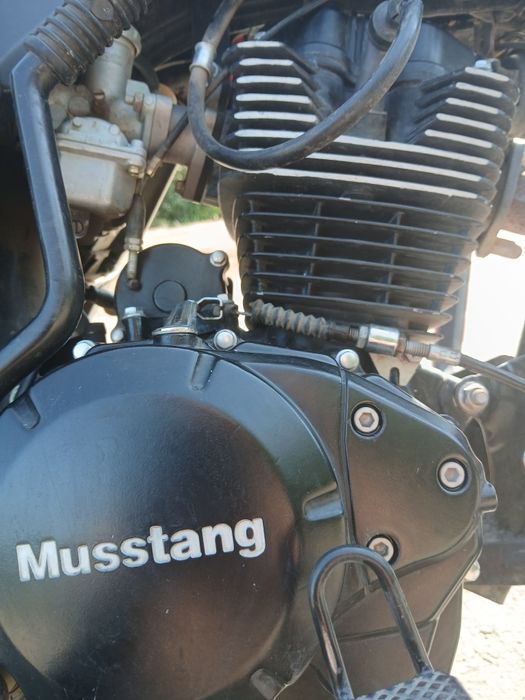 продам Mustang Fosti 150