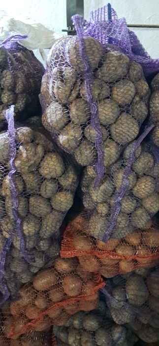 Продам картоплю домашня