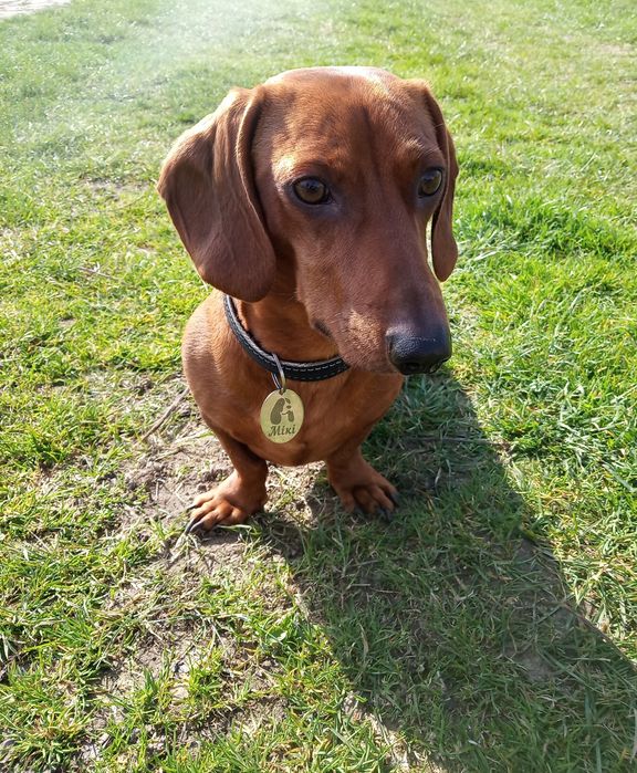 В'язка такси Луцьк