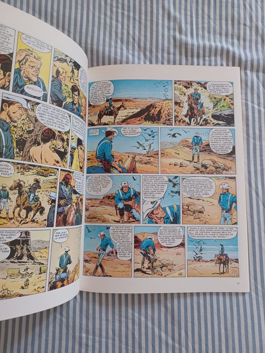 Blueberry A Águia Solitária