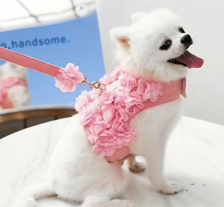 Arnês com flores e trela