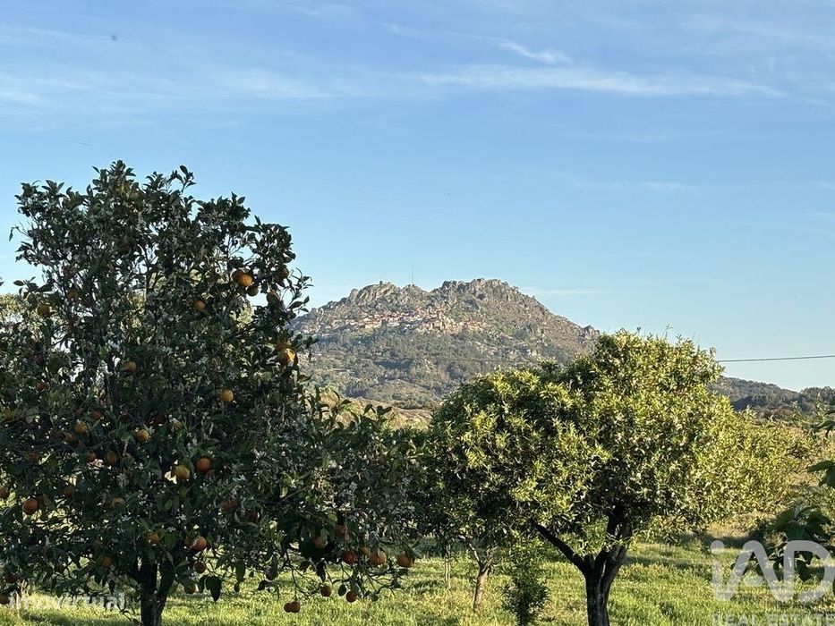 Terreno Agrícola em Monsanto e Idanha-a-Velha