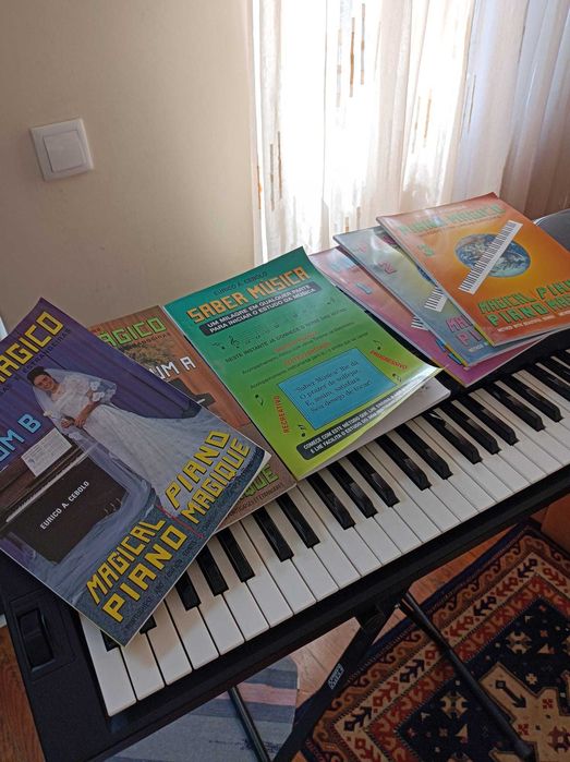 Teclado CTK 551 + livros ensino música