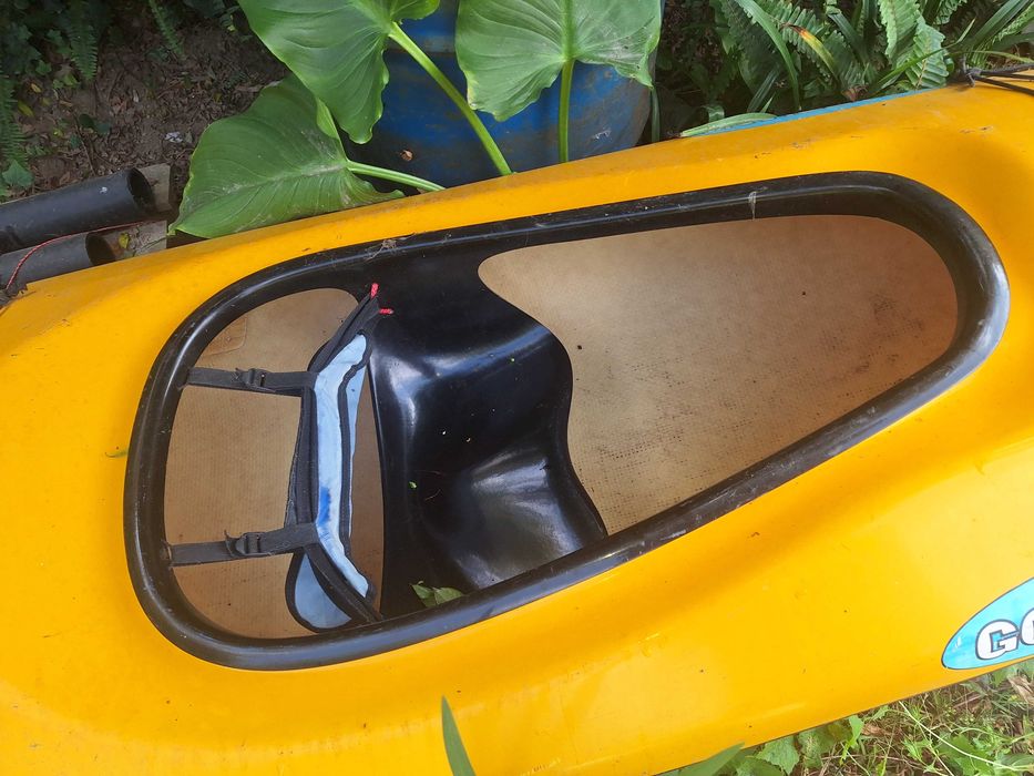 Kayak 2 lugares goltizuana