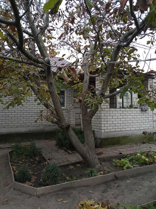 Продам дом 92 м² в Жихаре