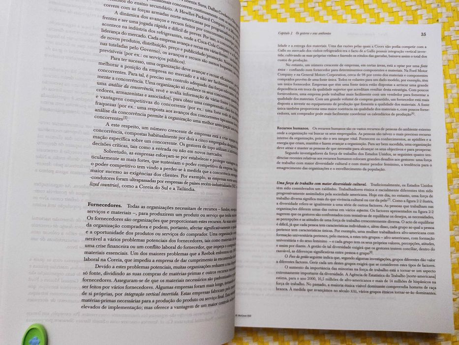 ADMINISTRAÇÃO - Princípios de Gestão Empresarial