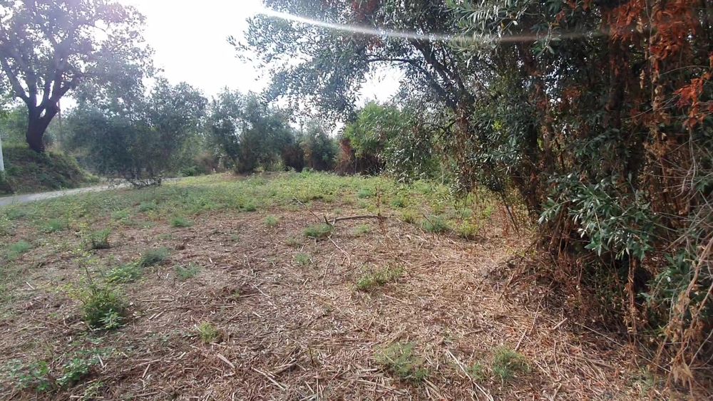 Terreno junto a Praia Fluvial de Montes (Barragem Castelo de bode)