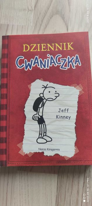 "Dziennik cwaniaczka" - stan idealny