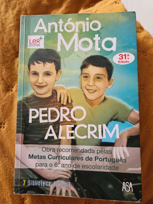 Livro: Pedro Alecrim (António Mota)