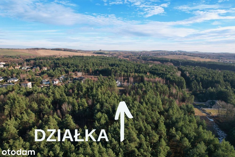 W nowej cenie - Piękna działka w otoczeniu lasu