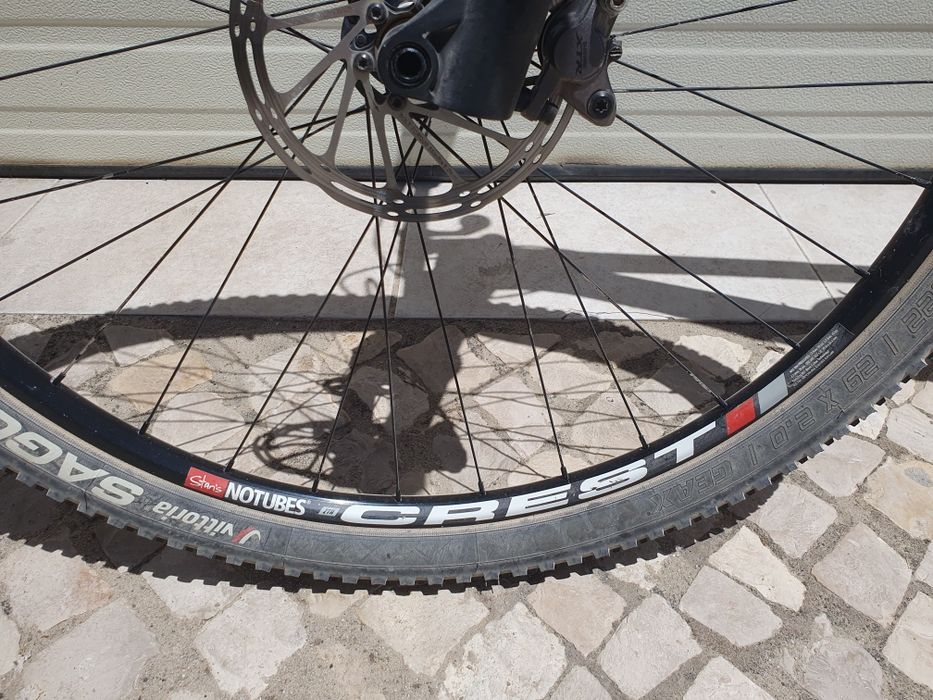 Olympia Iron 29 carbono L