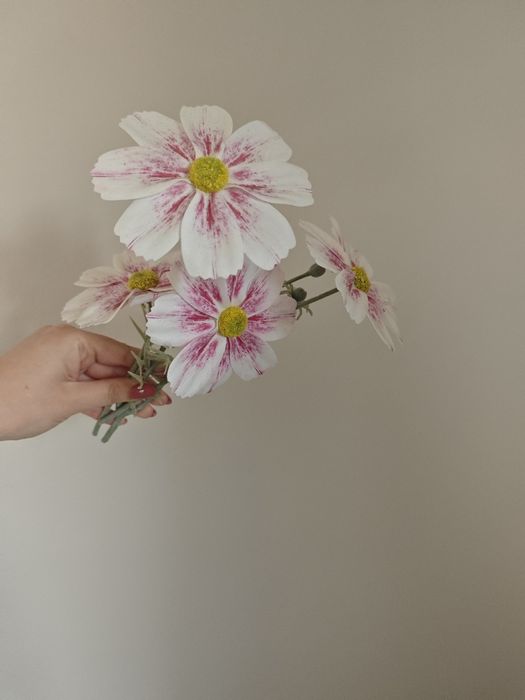 Kosmos sztuczny 4 kwiaty